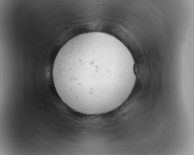 X0000091661154200709201139