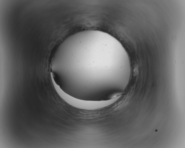 X0000091661156200709201139