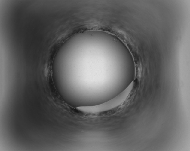 X0000091661157200709201139