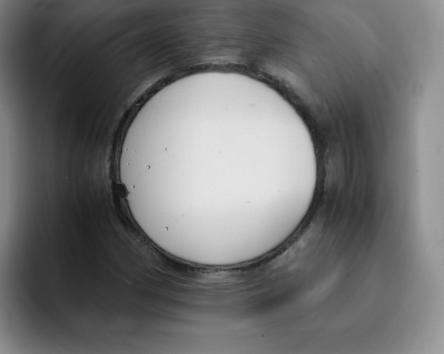 X0000091661162200709201139