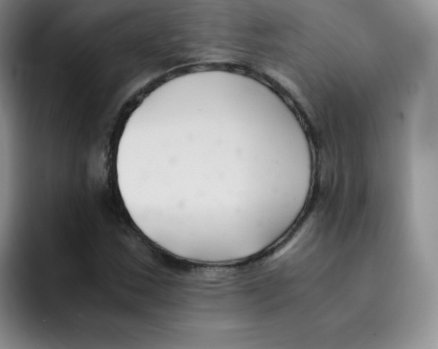 X0000091661163200709201139