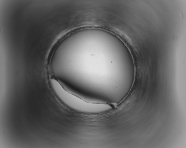 X0000091661168200709201139