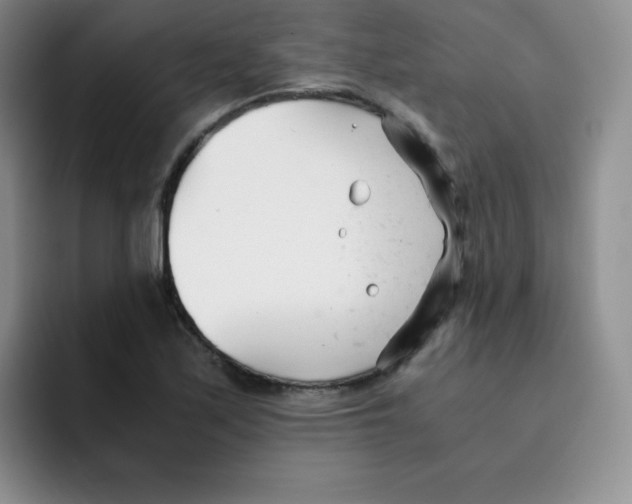 X0000091661171200709201139