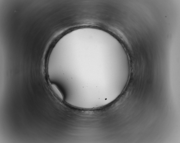 X0000091661172200709201139