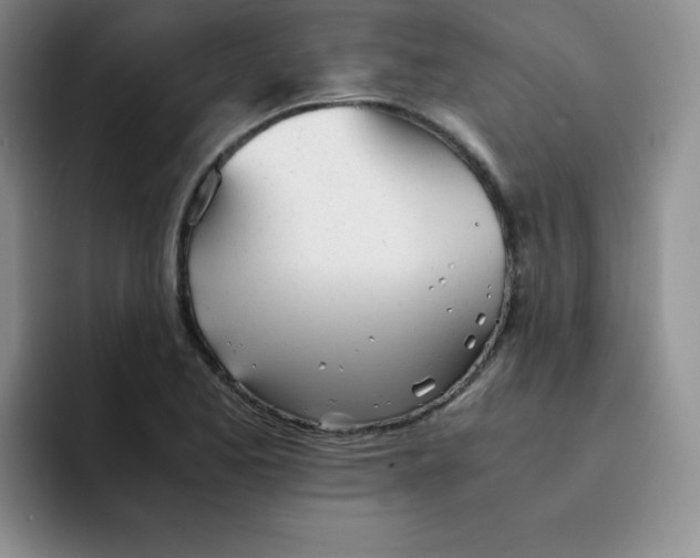 X0000091661173200709201139
