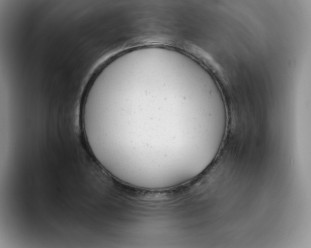 X0000091661174200709201139