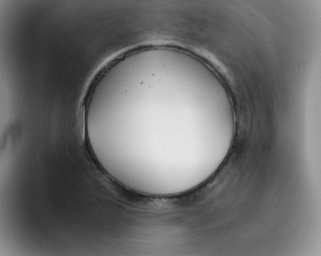 X0000091661175200709201139