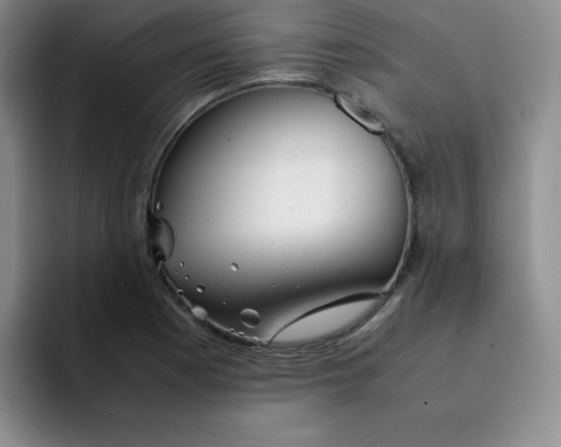 X0000091661177200709201139