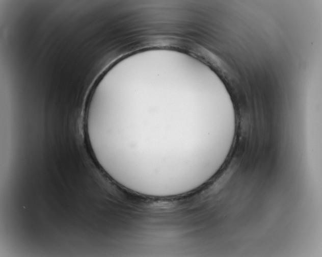 X0000091661178200709201139