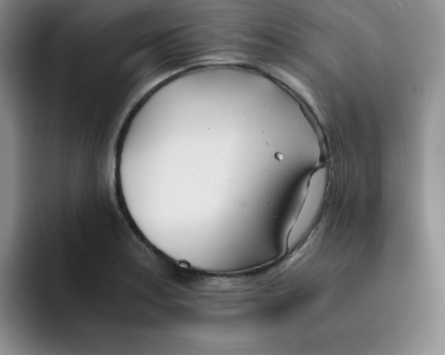X0000091661179200709201139