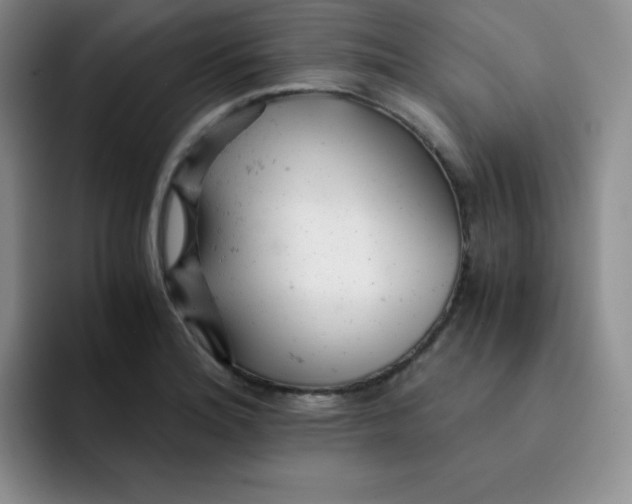 X0000091661180200709201139