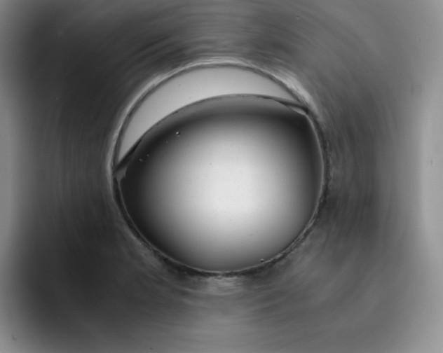 X0000091661181200709201139