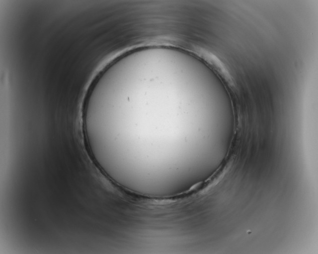 X0000091661184200709201139