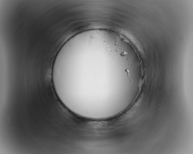 X0000091661185200709201138