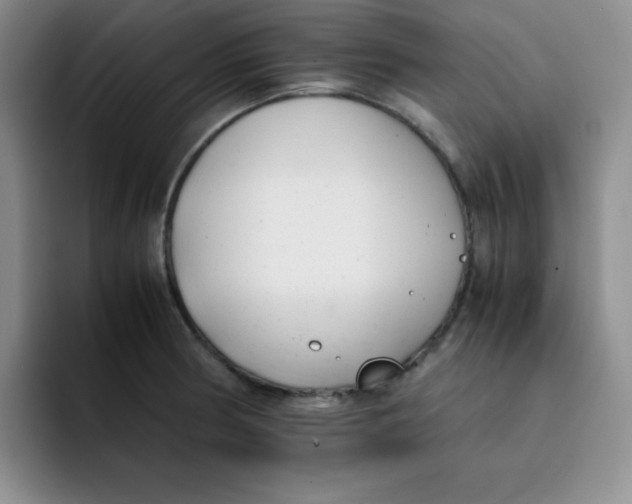 X0000091661186200709201138