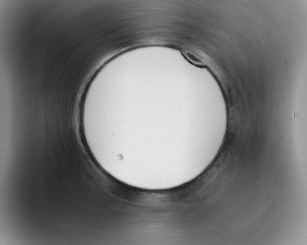 X0000091661187200709201138