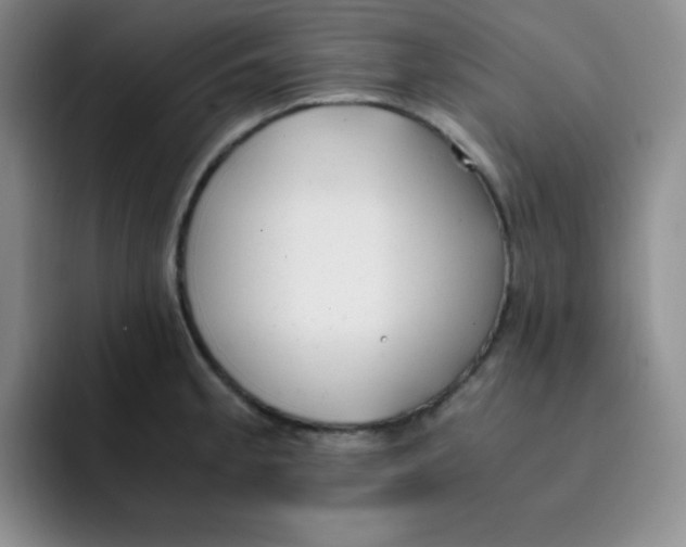 X0000091661189200709201138