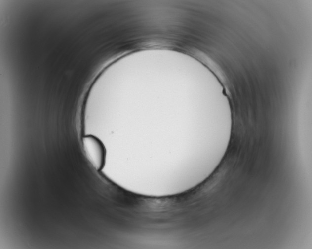 X0000091661195200709201138