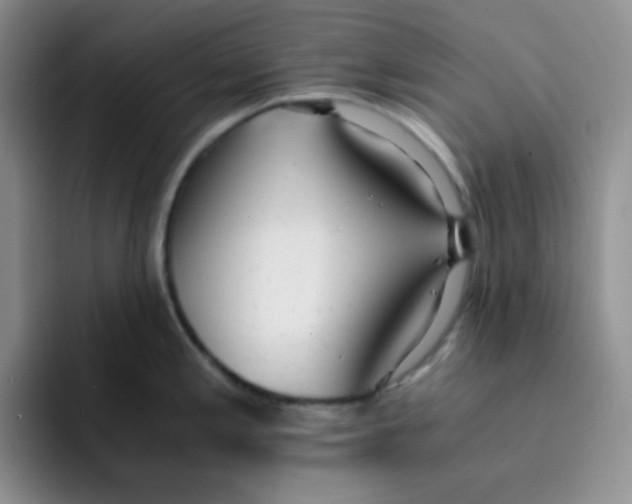 X0000091661197200709201138