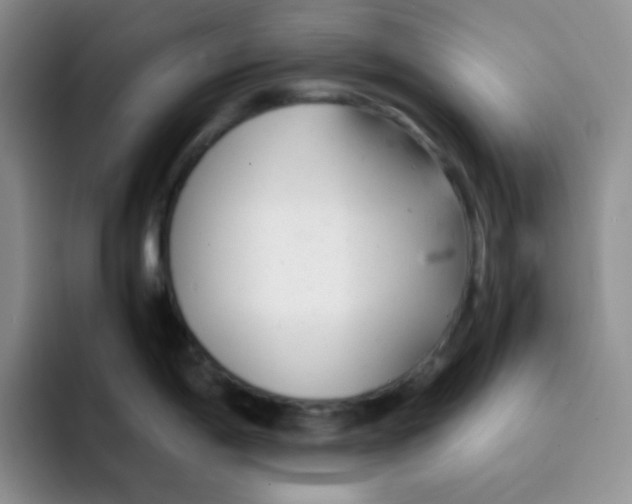 X0000091661198200709201138