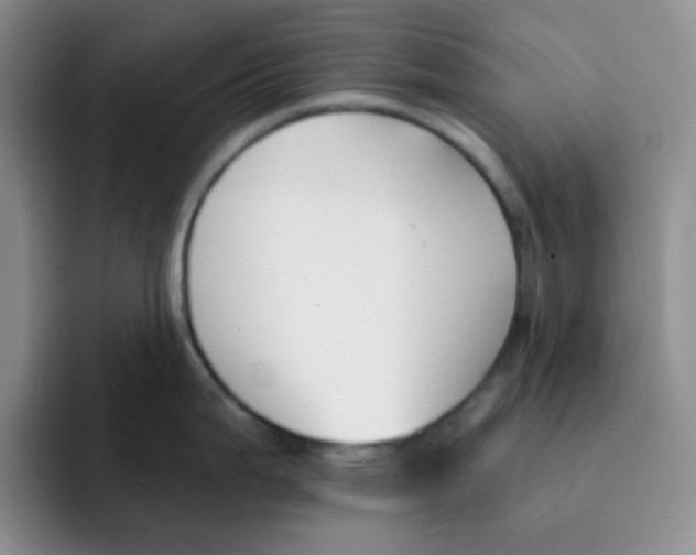 X0000091661199200709201138