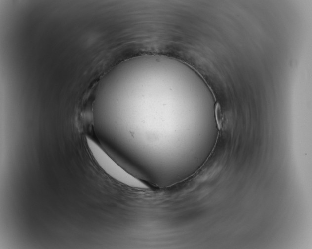 X0000091661202200709201138