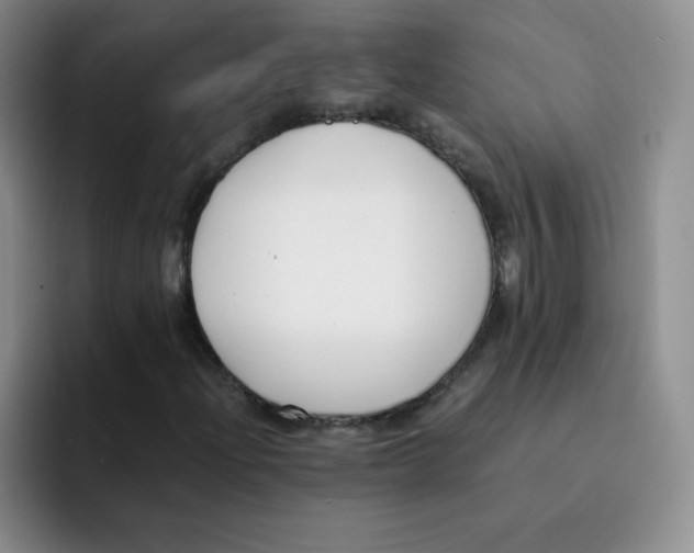 X0000091661204200709201138