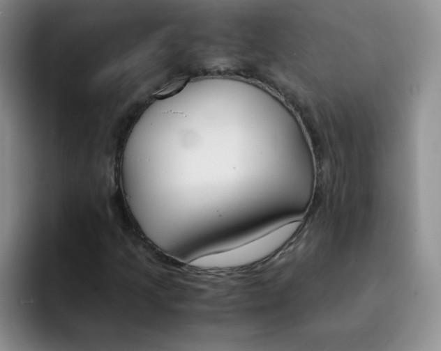 X0000091661205200709201138