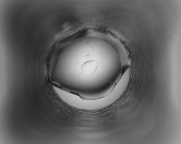 X0000091661206200709201138