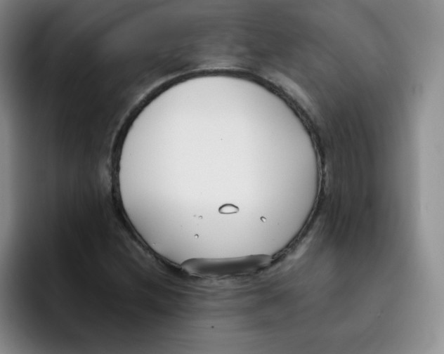 X0000091661212200709201138