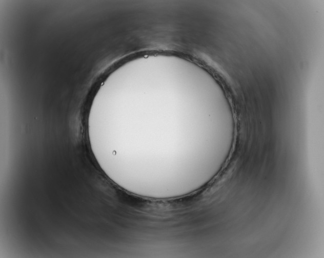 X0000091661215200709201138