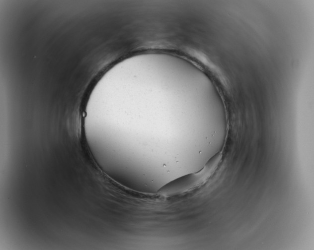 X0000091661221200709201138