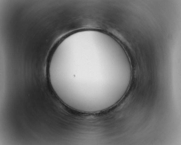 X0000091661222200709201138