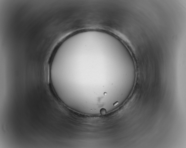 X0000091661223200709201138