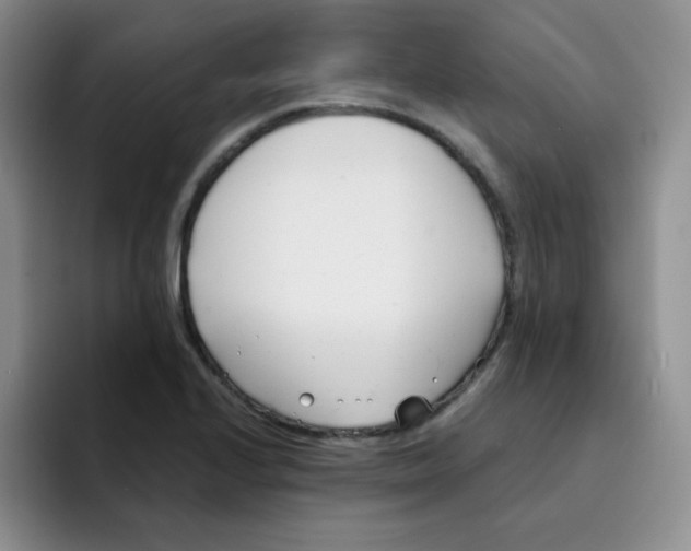 X0000091661224200709201138