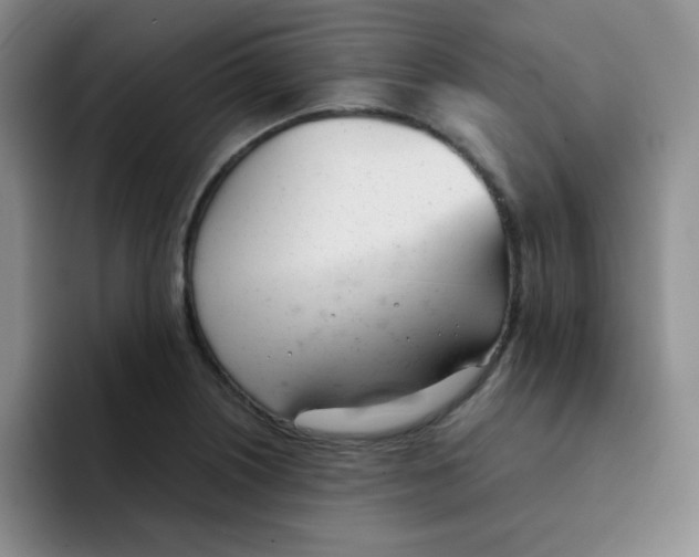 X0000091661226200709201138