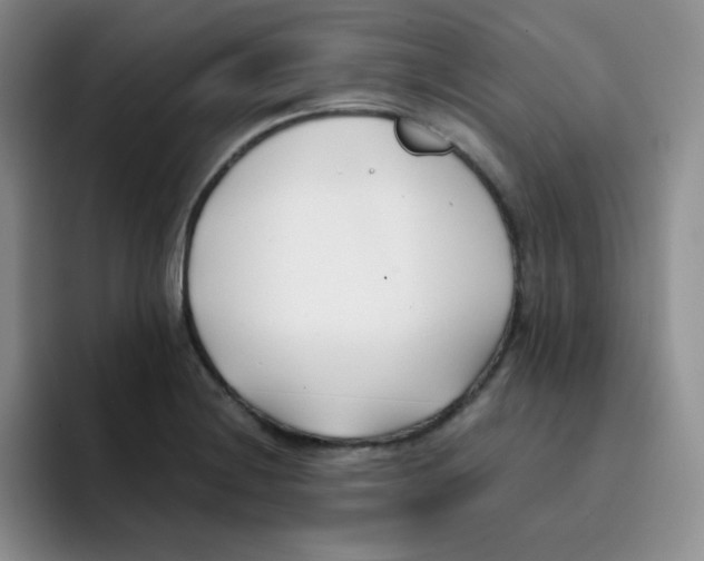 X0000091661228200709201138