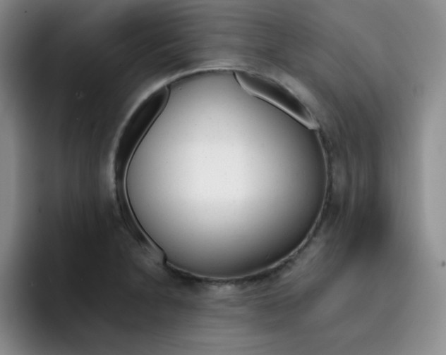 X0000091661230200709201138