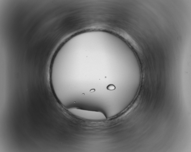 X0000091661232200709201138