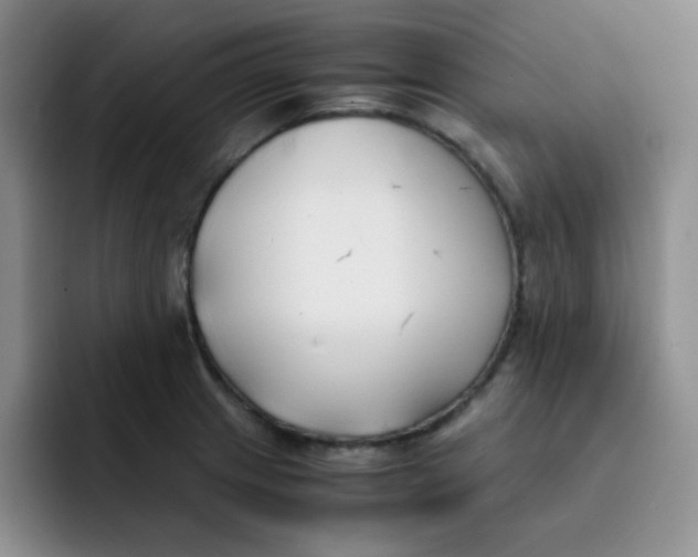 X0000091661233200709201138