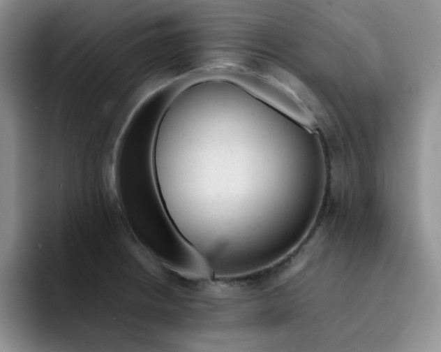 X0000091661234200709201138