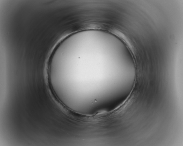 X0000091661235200709201138
