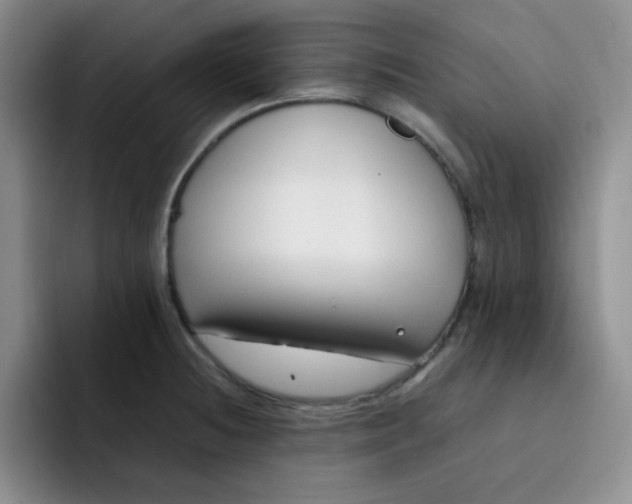 X0000091661236200709201138