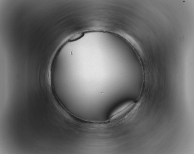 X0000091661238200709201138