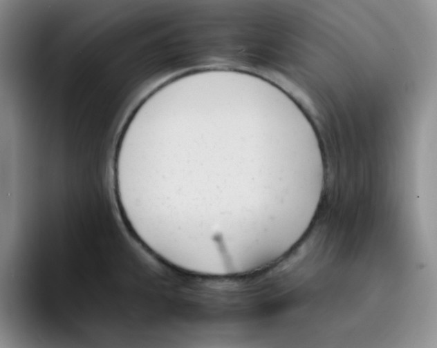 X0000091661239200709201138