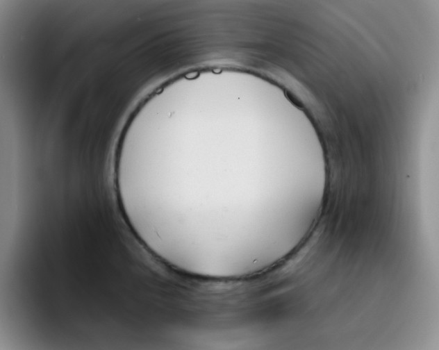 X0000091661240200709201138