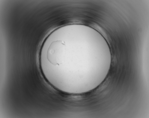 X0000091661243200709201138