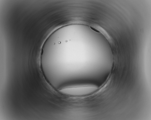 X0000091661244200709201138