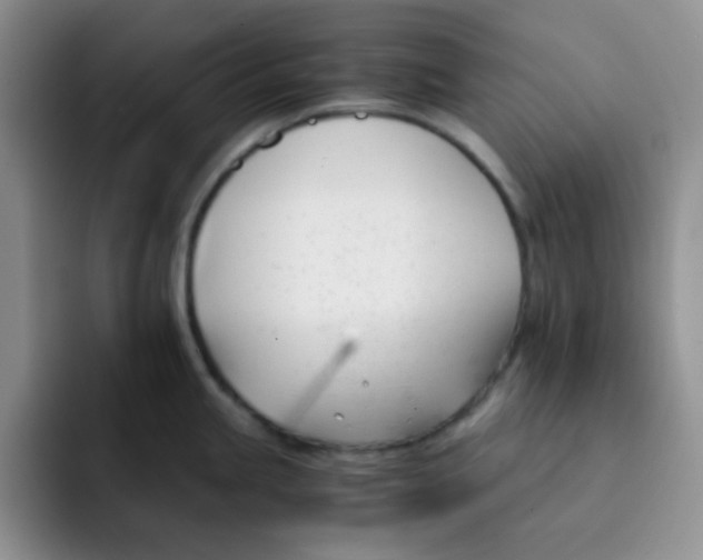 X0000091661245200709201138