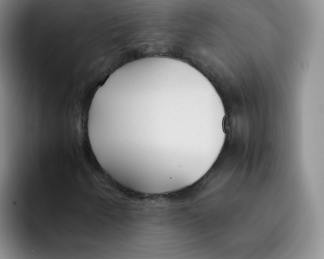 X0000091661250200709201138